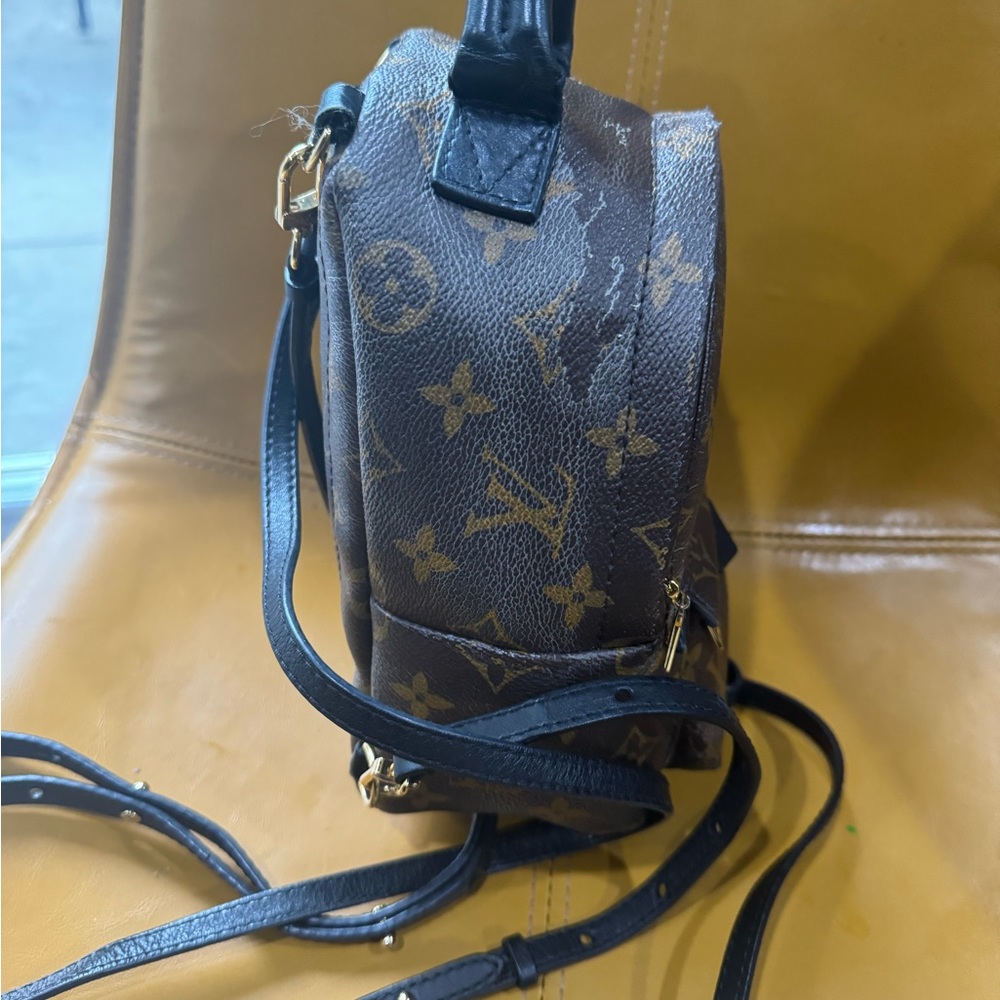 Louis Vuitton Monogrammed Palm Springs mini back pack - Picture 4 of 16